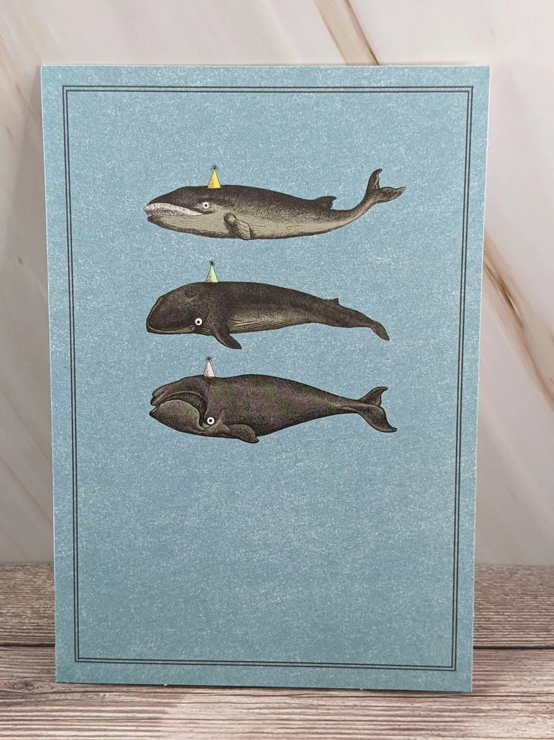 A funny birthday card by Hallmark with a blue cover that has images of whales.
