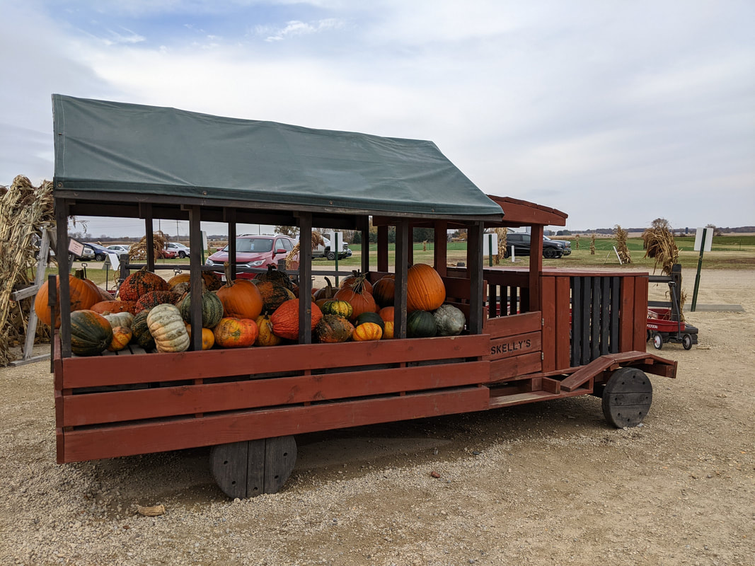 Pumpkin Display