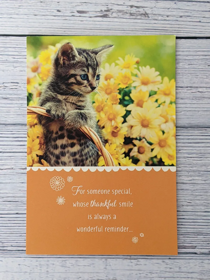 A Christian Thanksgiving greeting card with an image of a cat on the front.