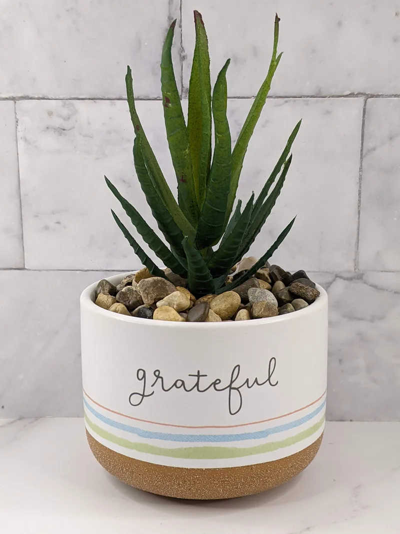 Grateful Potted Plant