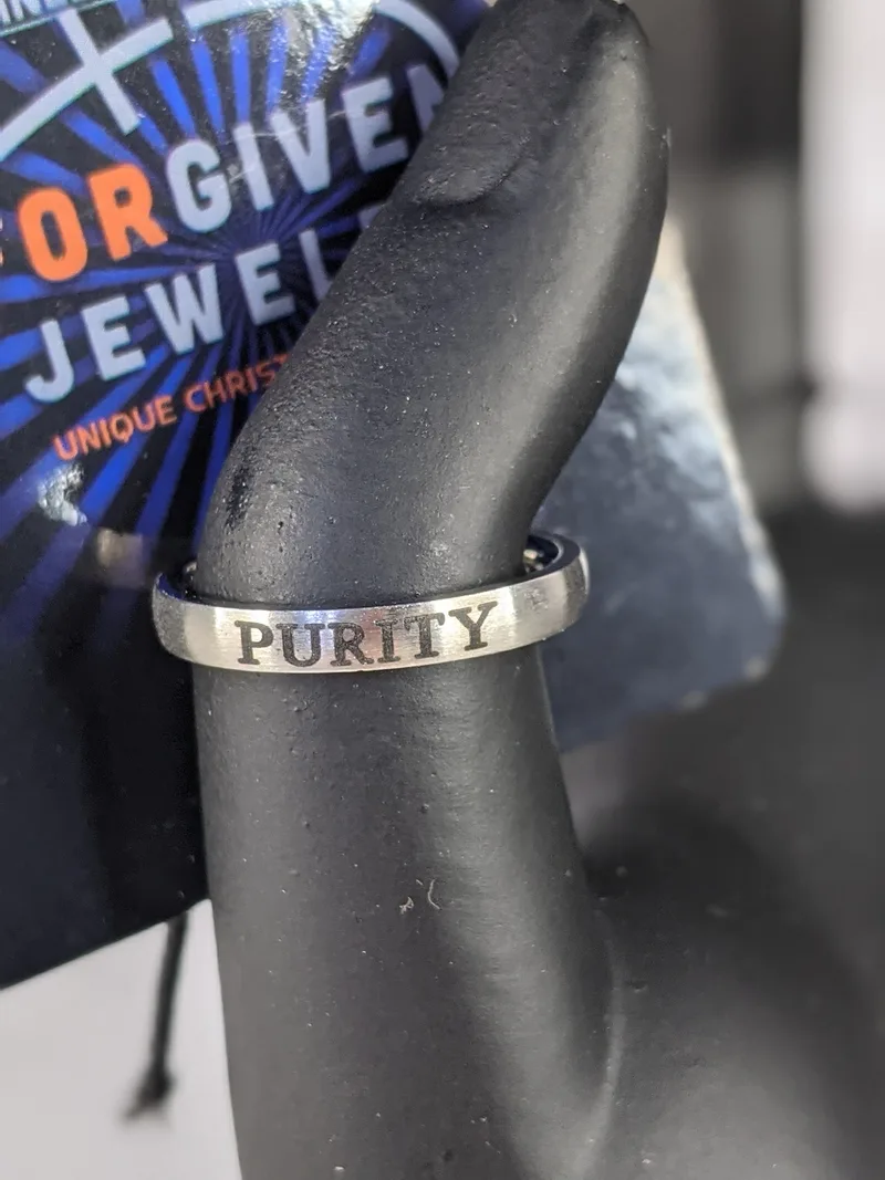 Purity Ring Stainless Steel