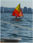 Image description
