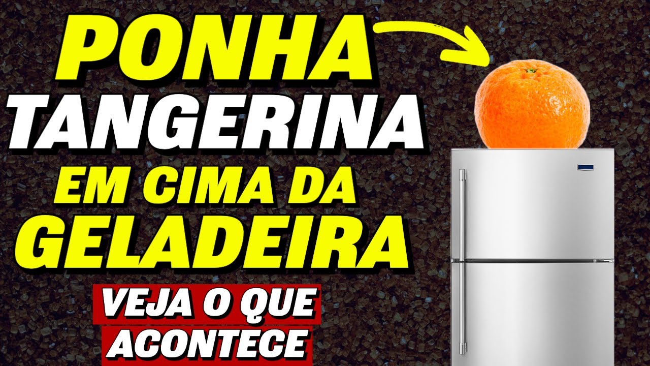 PONHA UMA TANGERINA EM CIMA DA GELADEIRA
