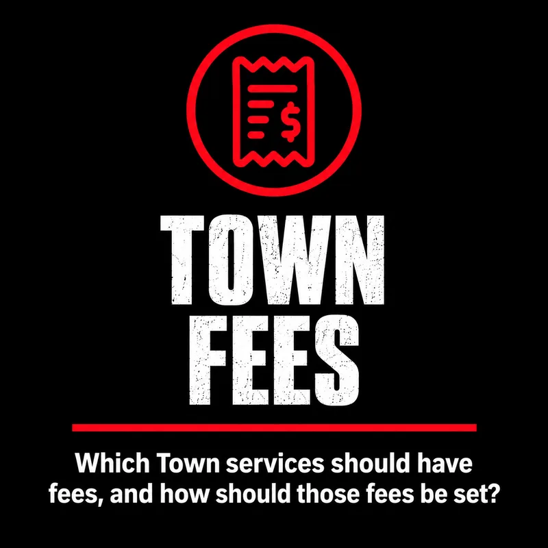 Shane Weaver Grimsby Ward 3 campaign graphic asking which Town services should have fees and how those fees should be set.