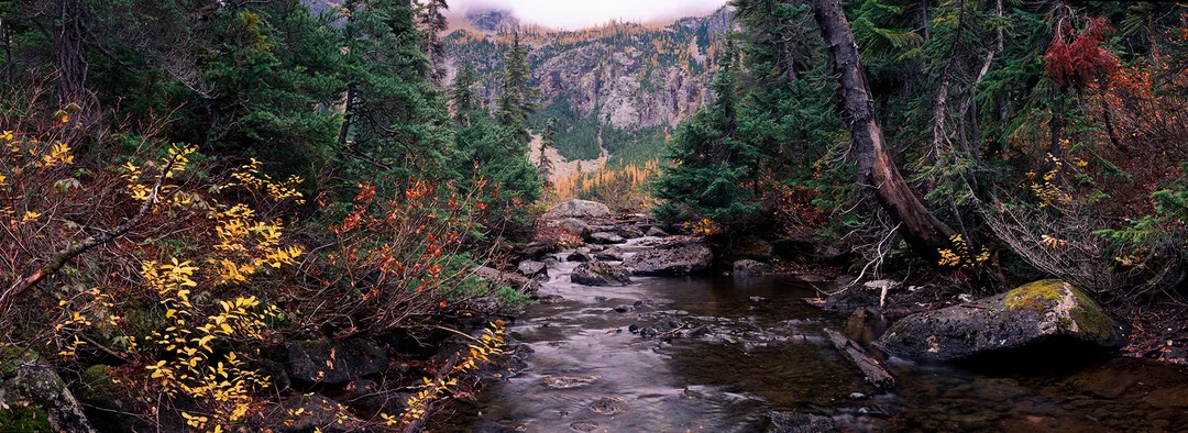 Whispers of Autumn