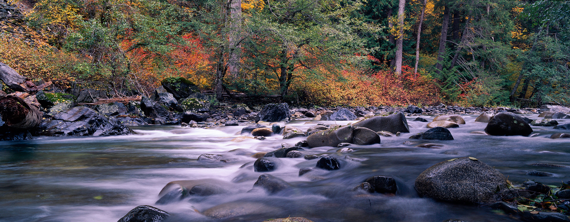 Canyon Creek