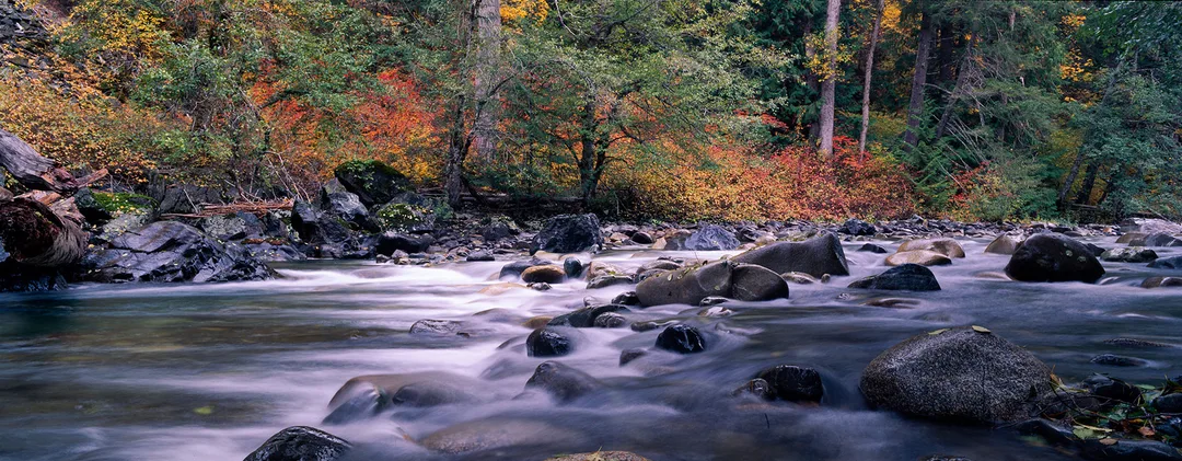 Canyon Creek