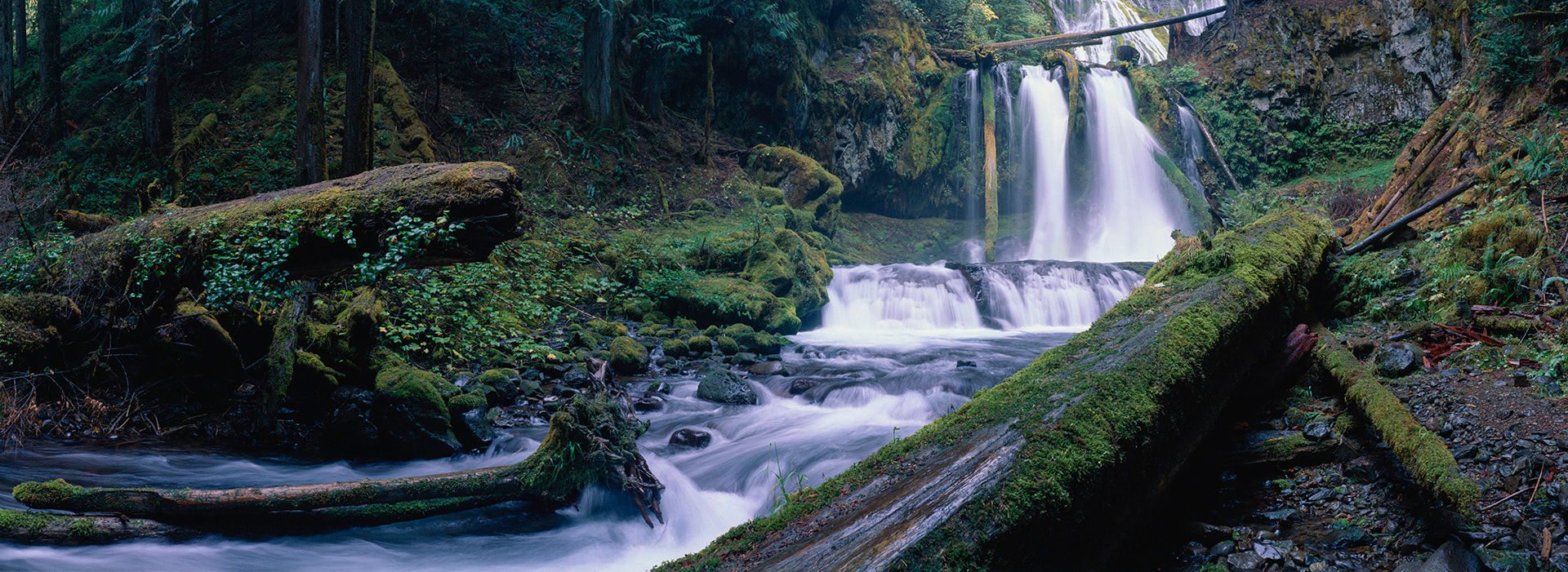 Panther Creek Falls