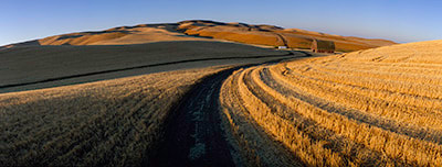 Harvest Road