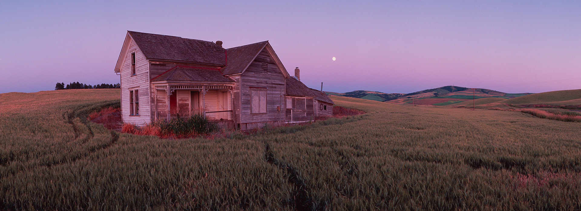 Abandoned Beauty