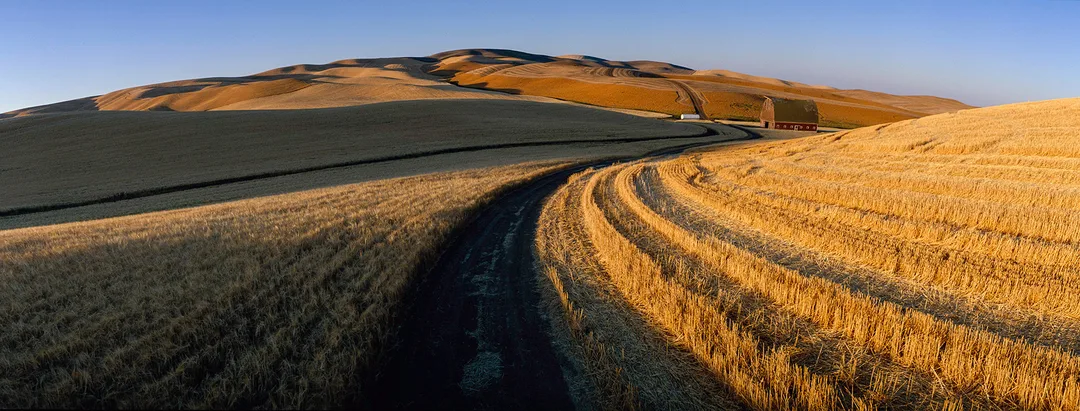 Harvest Road