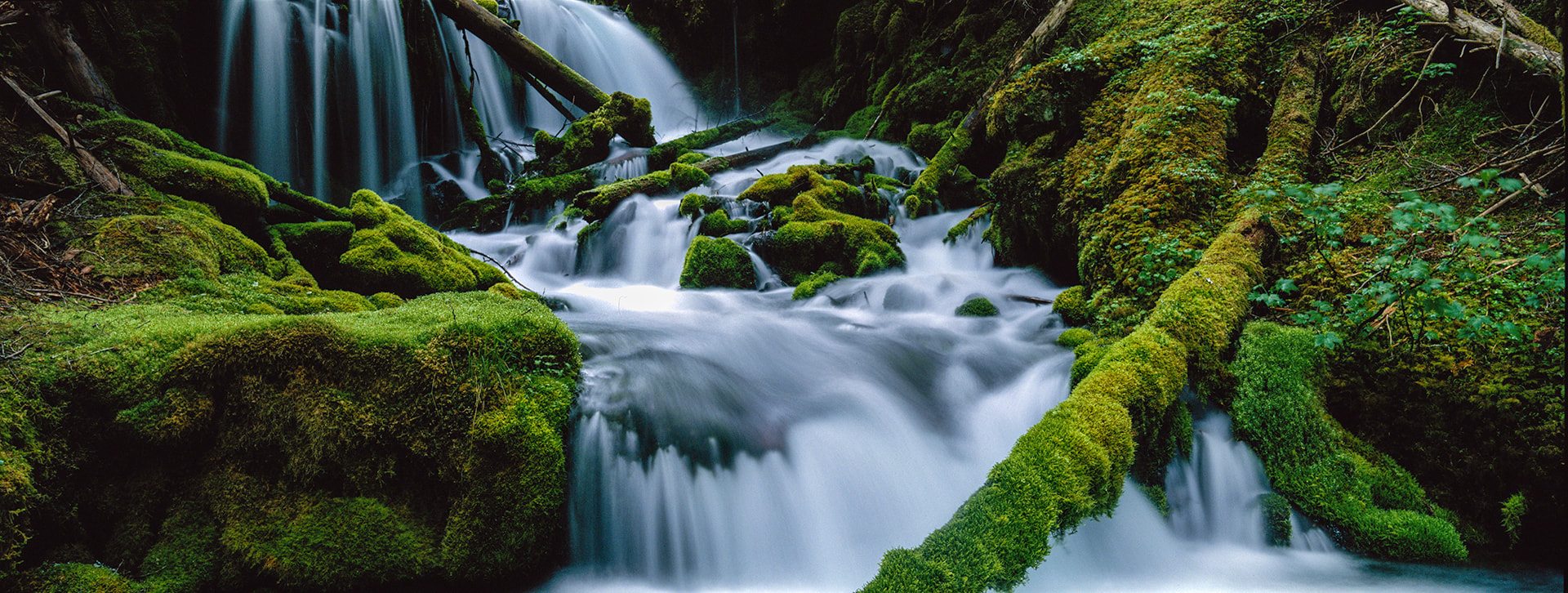 Gifford Pinchot National Forest