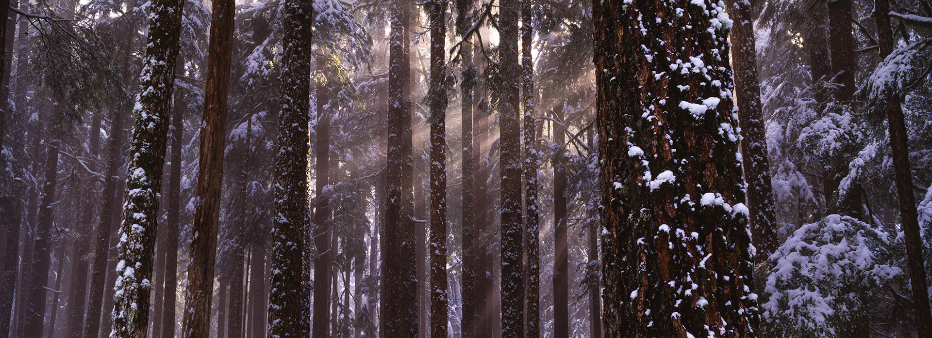 Olympic Peninsula