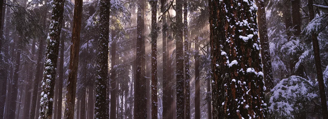 Olympic Peninsula