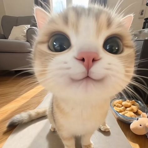 test1