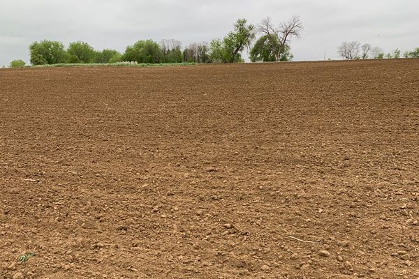 News and articles from Citizen Science Soil Health Project