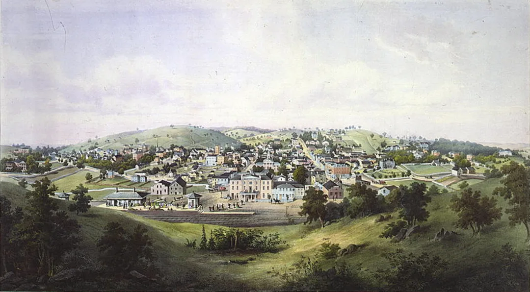 Picture