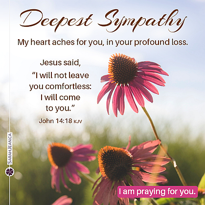 Free SarahJean Sympathy eCard with a Christian message entitled 'Profound Loss'. Image of pink coneflowers blowing in the wind.