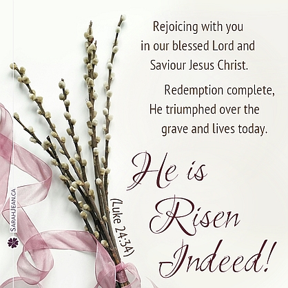 Free SarahJean Easter eCard with a Christian message entitled 'Risen Indeed'. Image of long stems with many flower buds and pink ribbon.