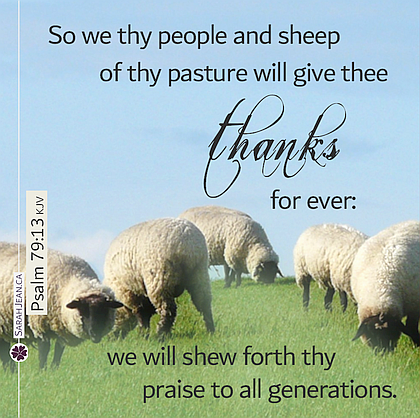 Scripture eCard titled, 'Thanks Forever' with Psalm 79:13. Image of Sheep feeding on green hills of grass.