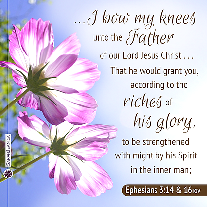Scripture eCard entitled 'Riches of His Glory' with Ephesians 3:14 and 16. Image of sunlight shining down on pink flowers.