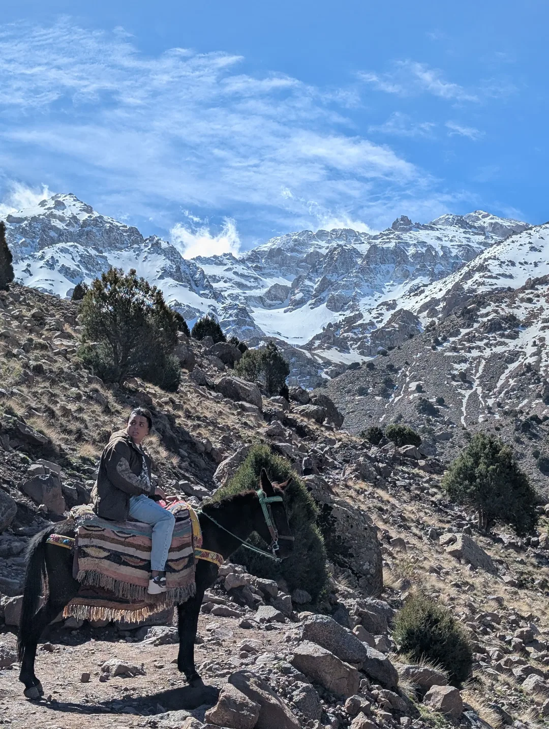 A mule on the trek to the refuge