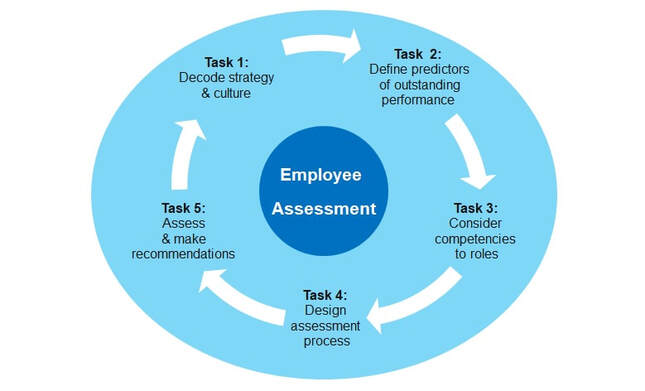 5 Tasks in the Employee Assessment Program