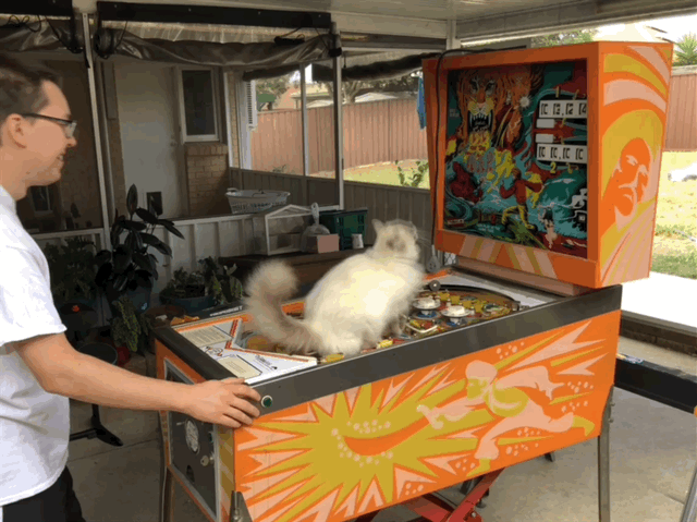carousel chooser