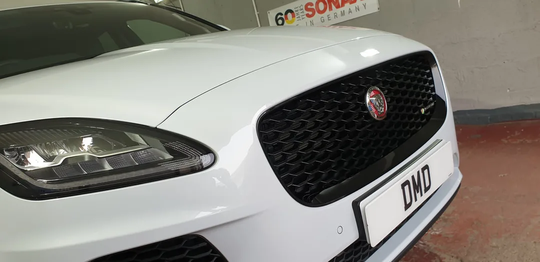 Ceramic Coating Paisley