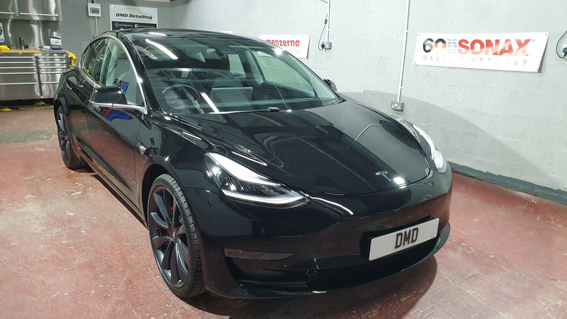 Tesla Paint Protection.