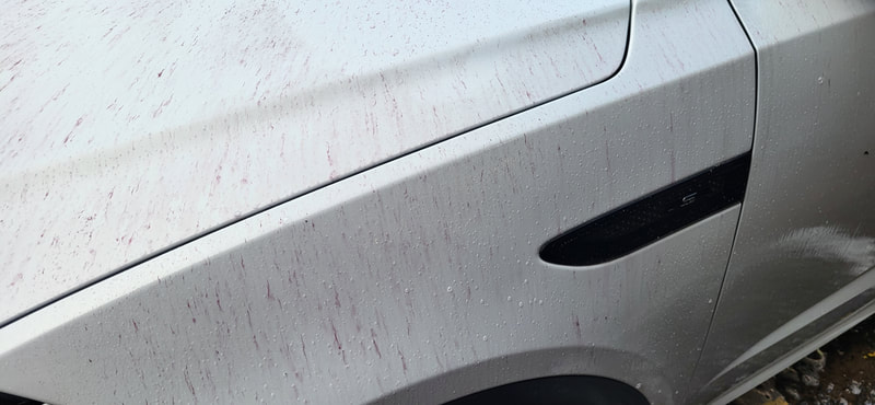 Car Detailing Paisley | Car Paint Protection Paisley
