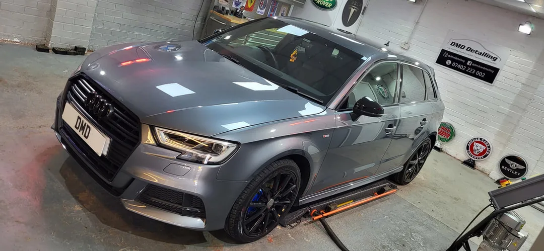 Paint Correction Paisley
