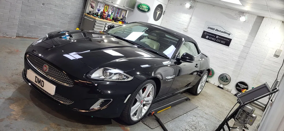 Paint Correction Paisley