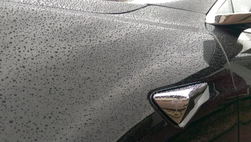 Tesla Paint Protection.