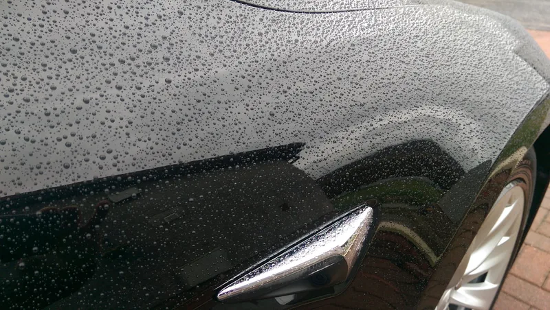 Tesla Paint Protection.