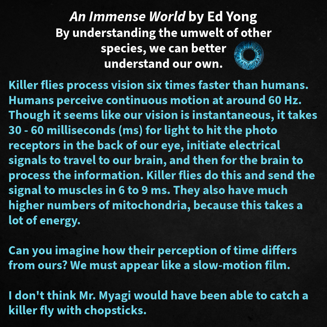 How can understanding the perceptions of other living organisms help us navigate our own reality?