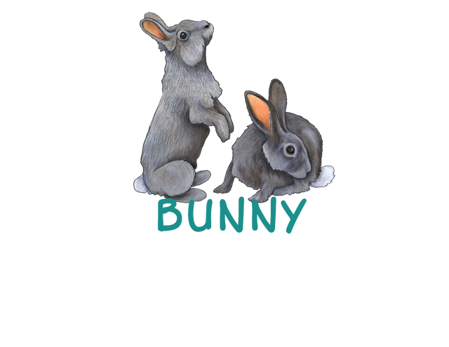 critter - bunnies